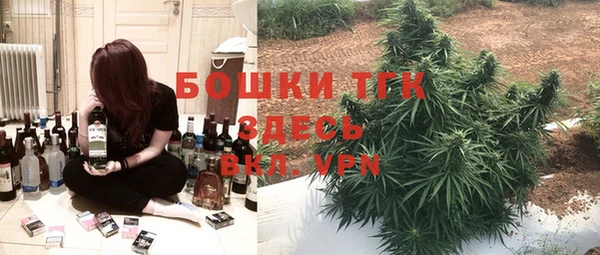 ALPHA-PVP Инсар