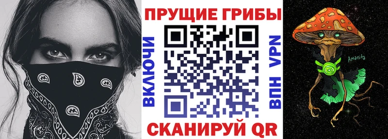 Псилоцибиновые грибы Psilocybe Цивильск